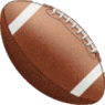 Backyard Football Playoff